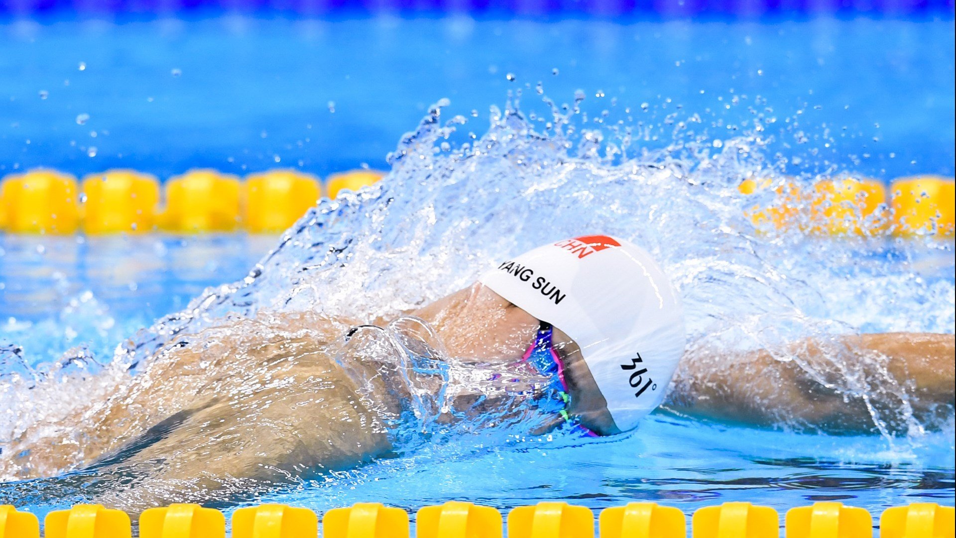 高校体育类专业招生结构与就业对接研究,2020年体育专业择校